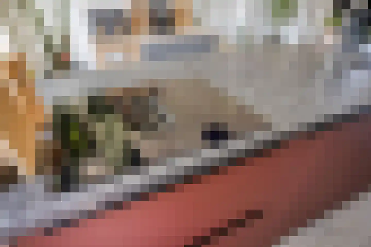 Izaäk Evertslaan 117 3 Arnhem thumbnail 18