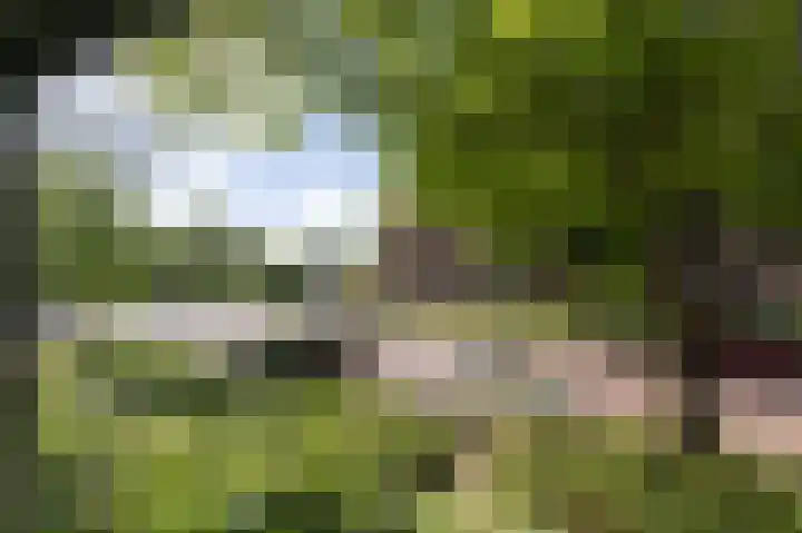 Izaäk Evertslaan 121 1 Arnhem thumbnail 10
