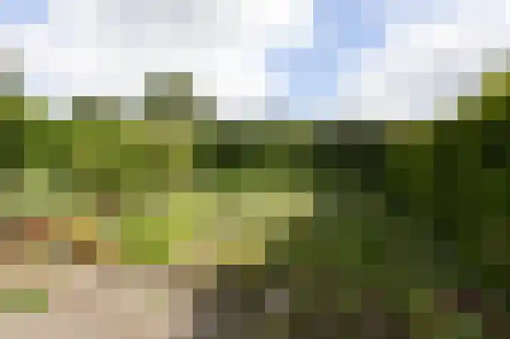 Izaäk Evertslaan 121 1 Arnhem thumbnail 15