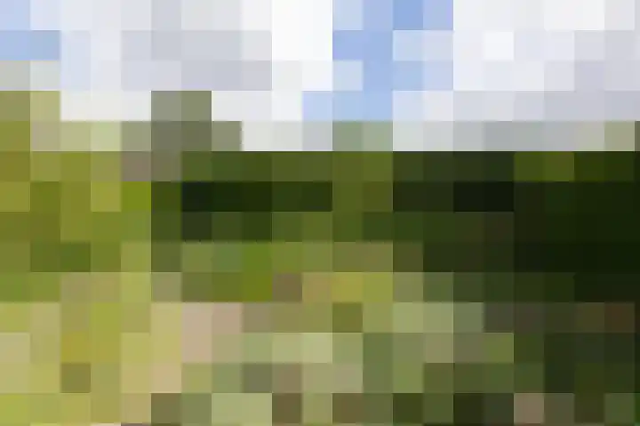 Izaäk Evertslaan 121 1 Arnhem thumbnail 16