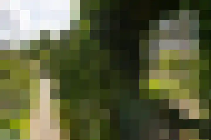 Izaäk Evertslaan 121 1 Arnhem thumbnail 17