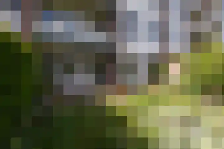 Izaäk Evertslaan 121 1 Arnhem thumbnail 18