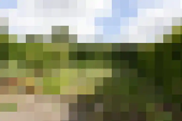 Izaäk Evertslaan 121 1 Arnhem foto 3