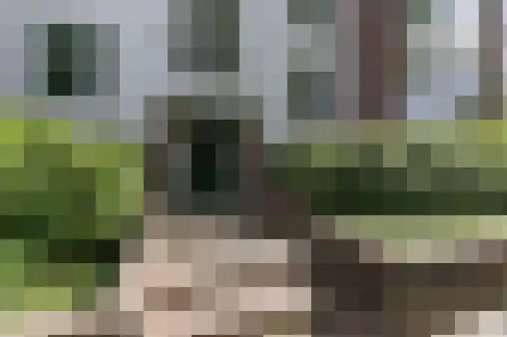 Izaäk Evertslaan 121 1 Arnhem thumbnail 5
