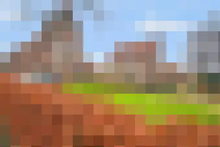 Izaäk Evertslaan 123 2 Arnhem thumbnail 25