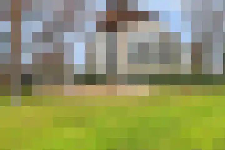 Izaäk Evertslaan 123 2 Arnhem thumbnail 27