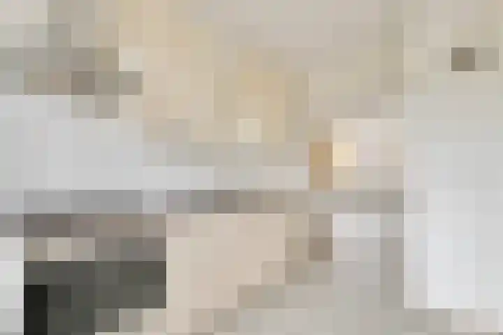 Izaäk Evertslaan 123 2 Arnhem thumbnail 9