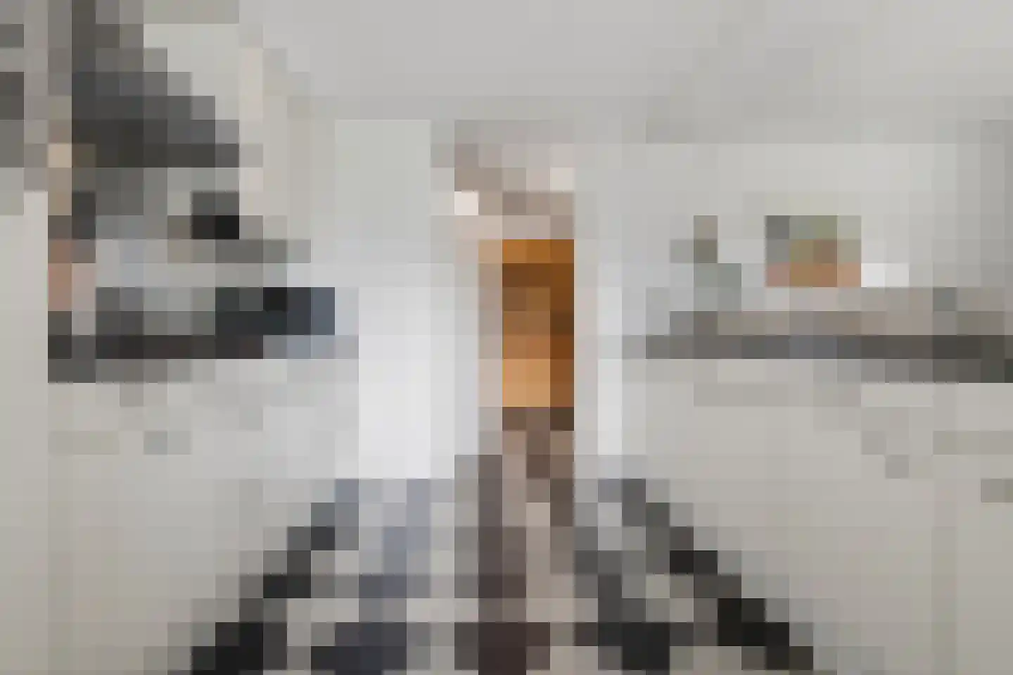 Izaäk Evertslaan 67 Arnhem thumbnail 8