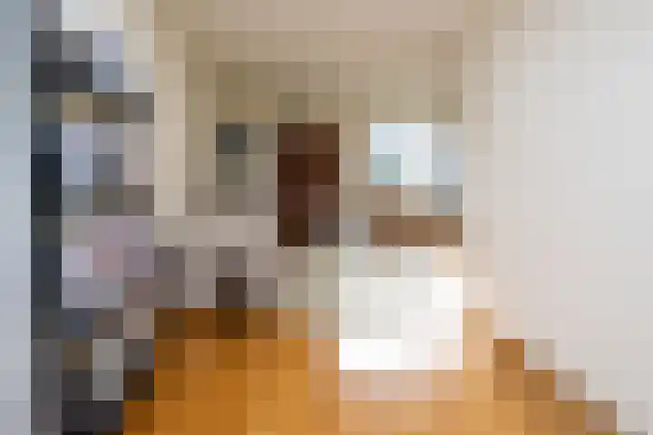 Izak Osstraat 1 Zwolle thumbnail 11