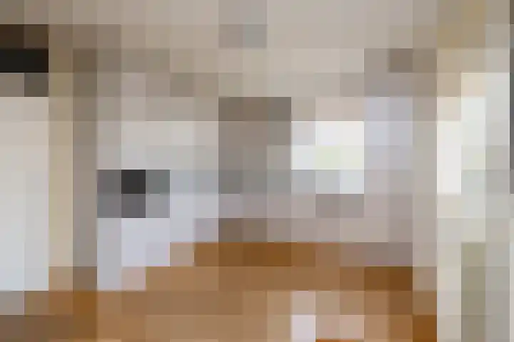 Izak Osstraat 1 Zwolle thumbnail 17