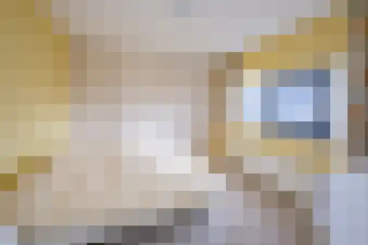 Izak Osstraat 1 Zwolle thumbnail 23