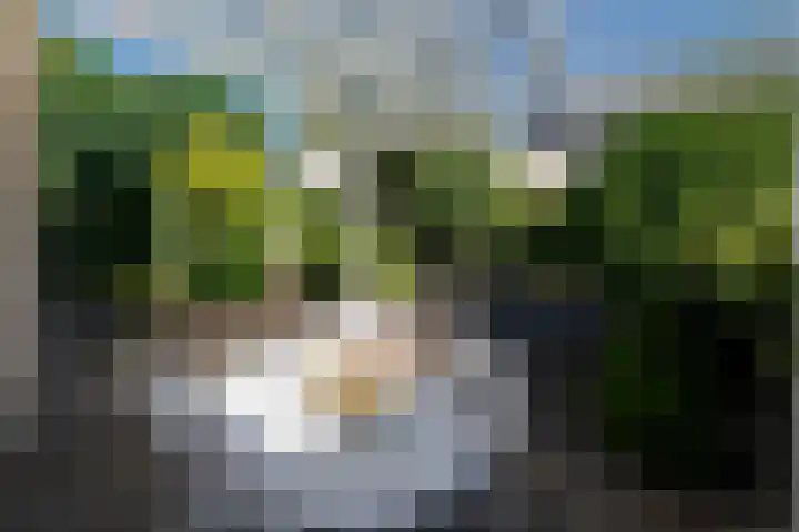 Izak Osstraat 55 Zwolle thumbnail 26
