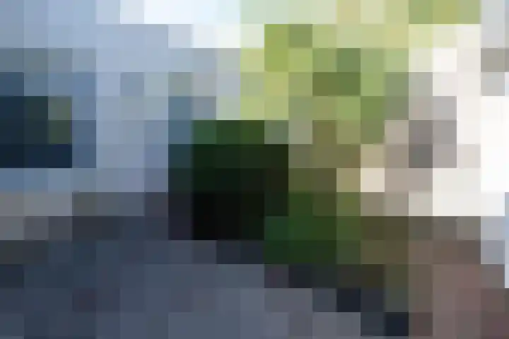 Izak Osstraat 55 Zwolle thumbnail 5