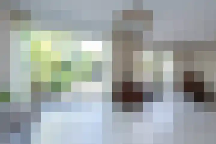 Izak Osstraat 55 Zwolle thumbnail 9