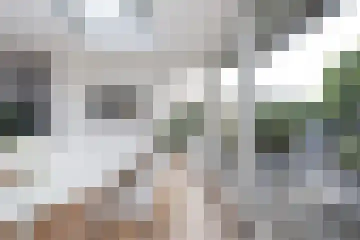 Izeren Helling 1 IJlst thumbnail 22
