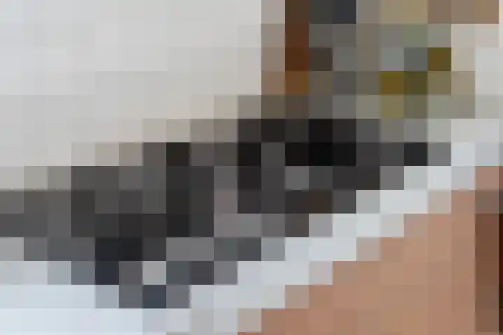 Izeren Helling 1 IJlst thumbnail 28