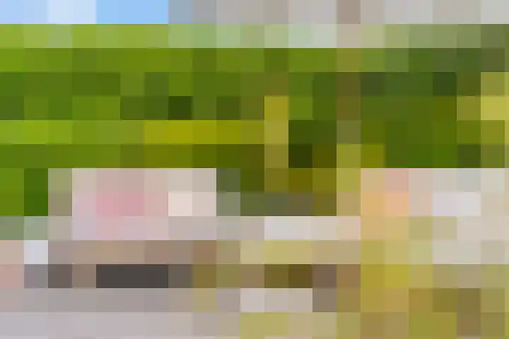 Izeren Helling 1 IJlst thumbnail 39