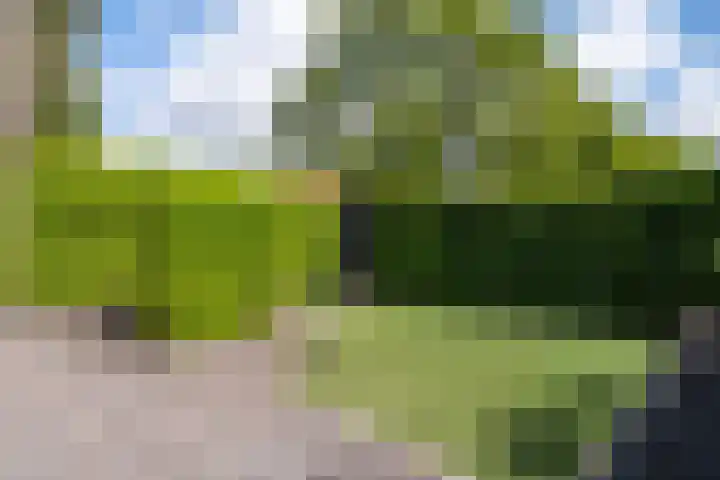 Izeren Helling 1 IJlst thumbnail 57
