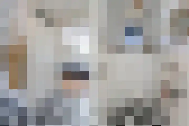 Izeren Helling 1 IJlst thumbnail 8