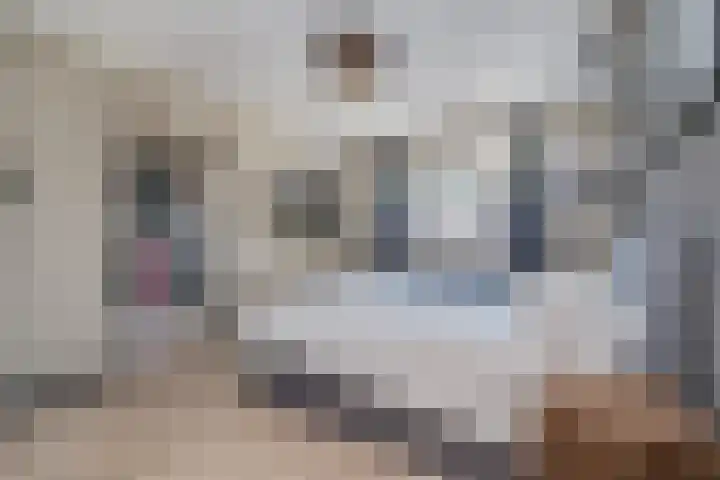 Izmirerf 15 Rotterdam thumbnail 20