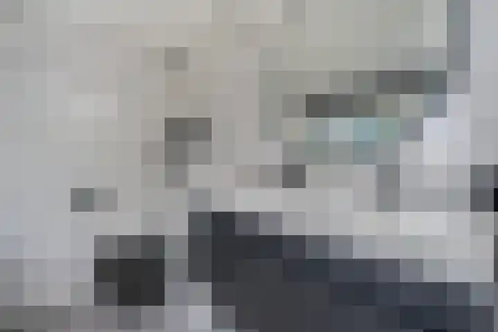 Izmirerf 15 Rotterdam thumbnail 24