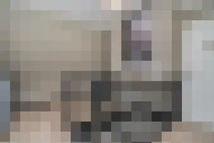 Izmirerf 15 Rotterdam thumbnail 25