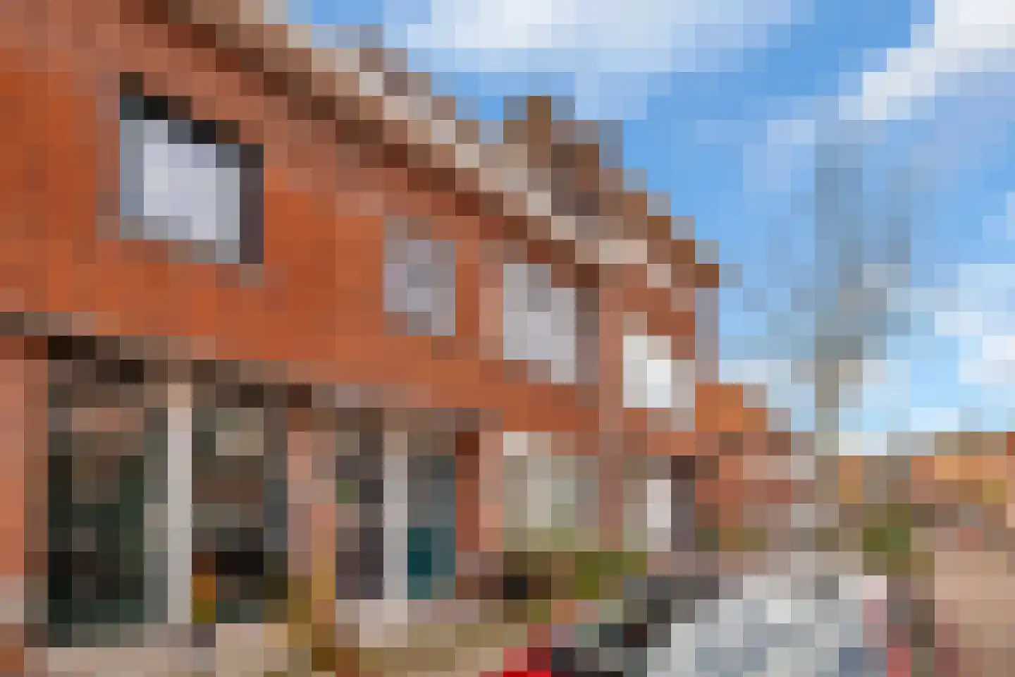 J A Alberdingk Thijmstraat 18 B Schiedam thumbnail 24