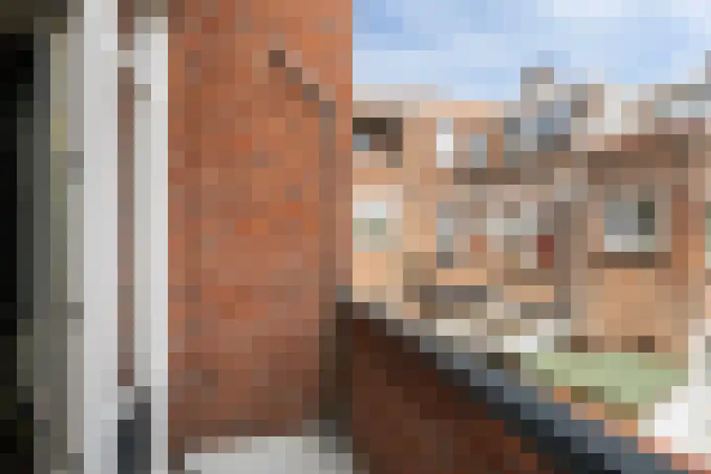 J A Alberdingk Thijmstraat 42 Schiedam thumbnail 18
