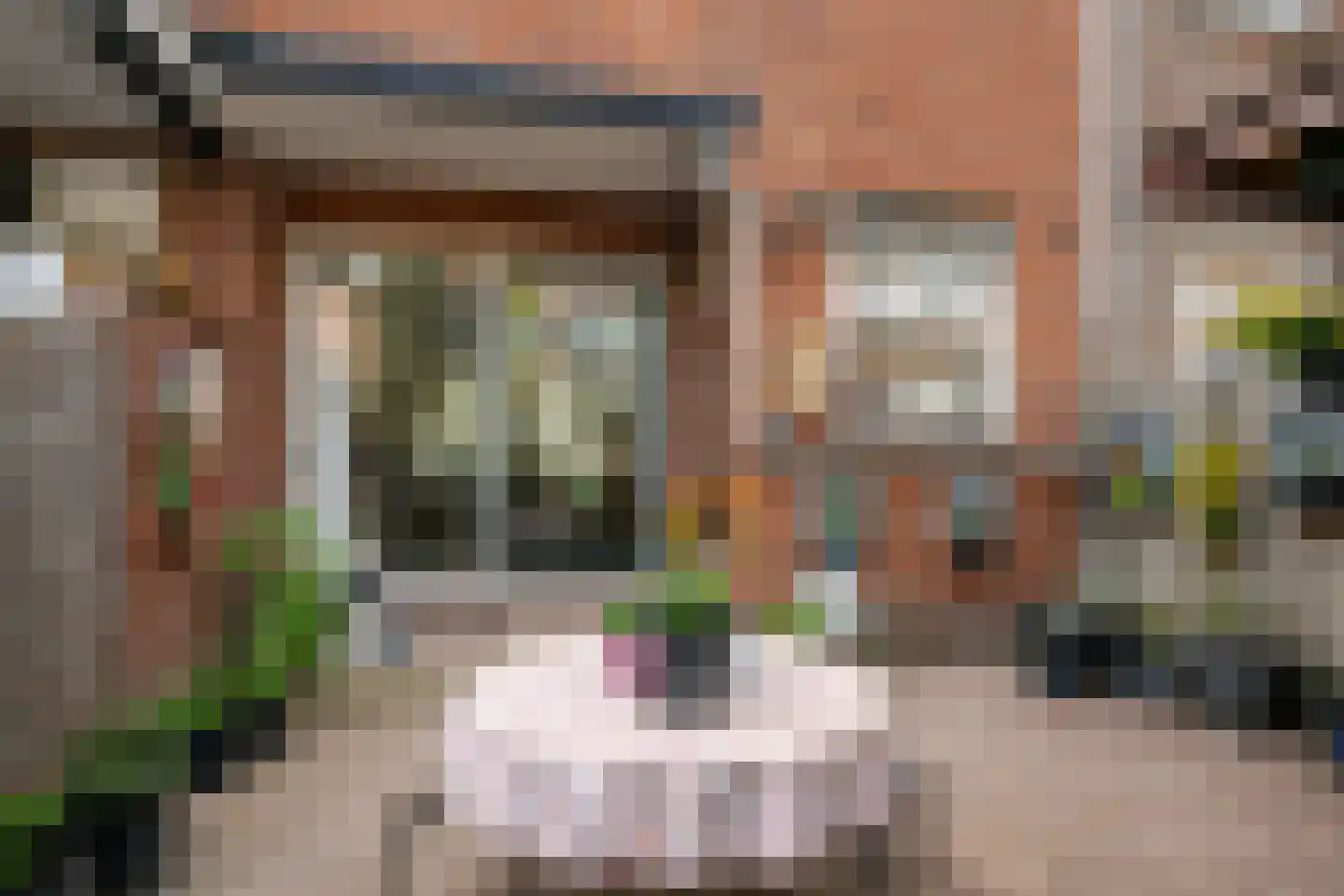 J A Alberdingk Thijmstraat 42 Schiedam thumbnail 7