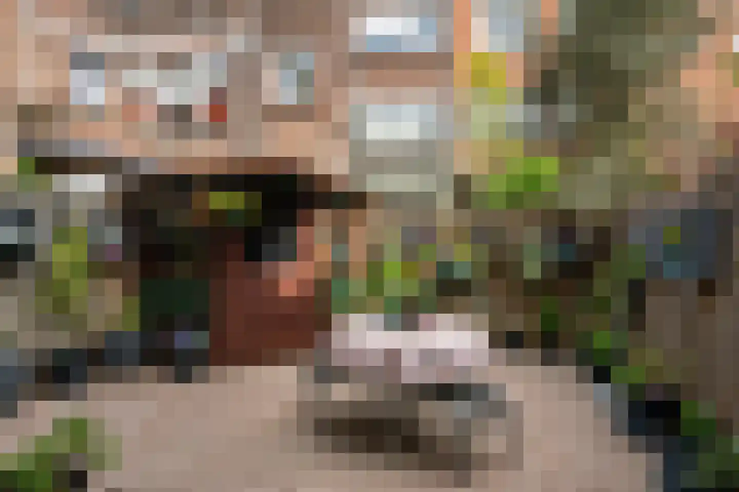 J A Alberdingk Thijmstraat 42 Schiedam thumbnail 8