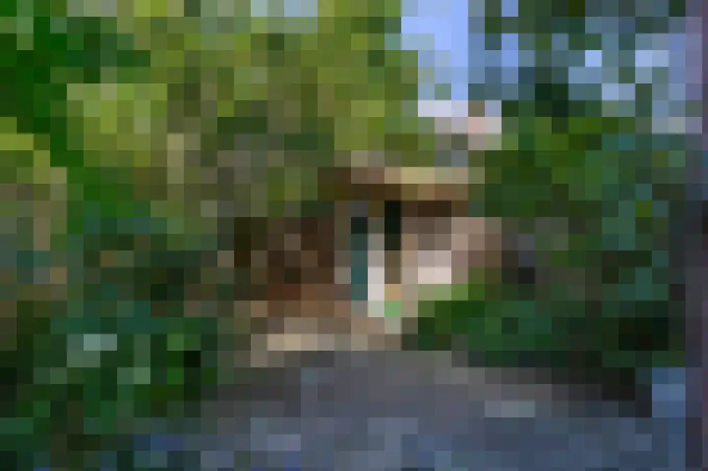 J A Alberdingk Thijmstraat 43 Schiedam thumbnail 27