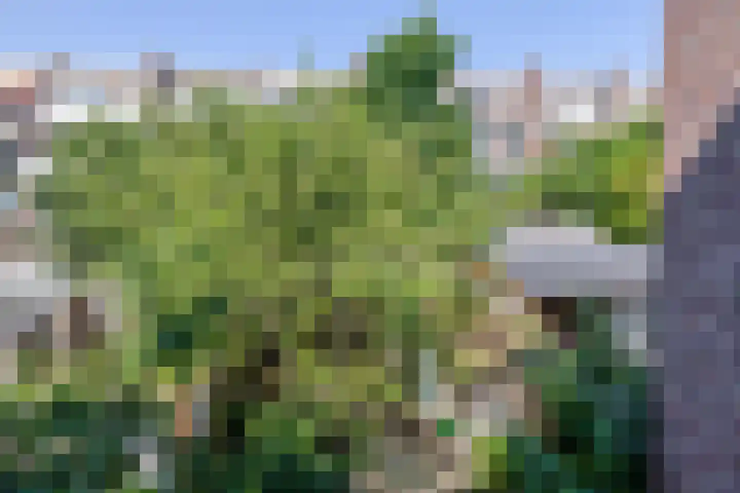 J A Alberdingk Thijmstraat 43 Schiedam thumbnail 35
