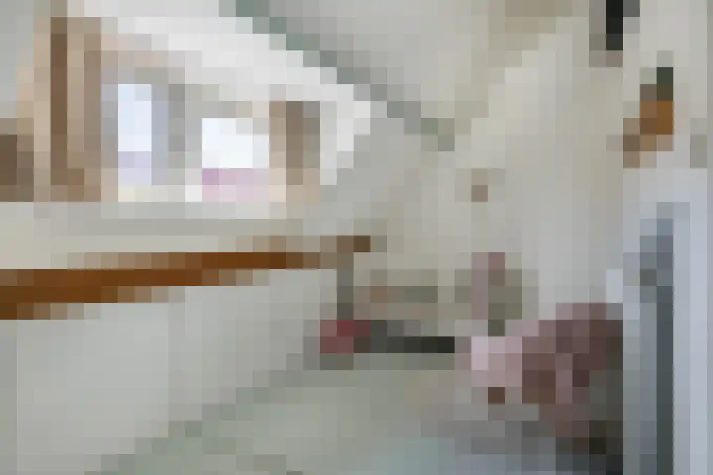 J A Alberdingk Thijmstraat 43 Schiedam thumbnail 42