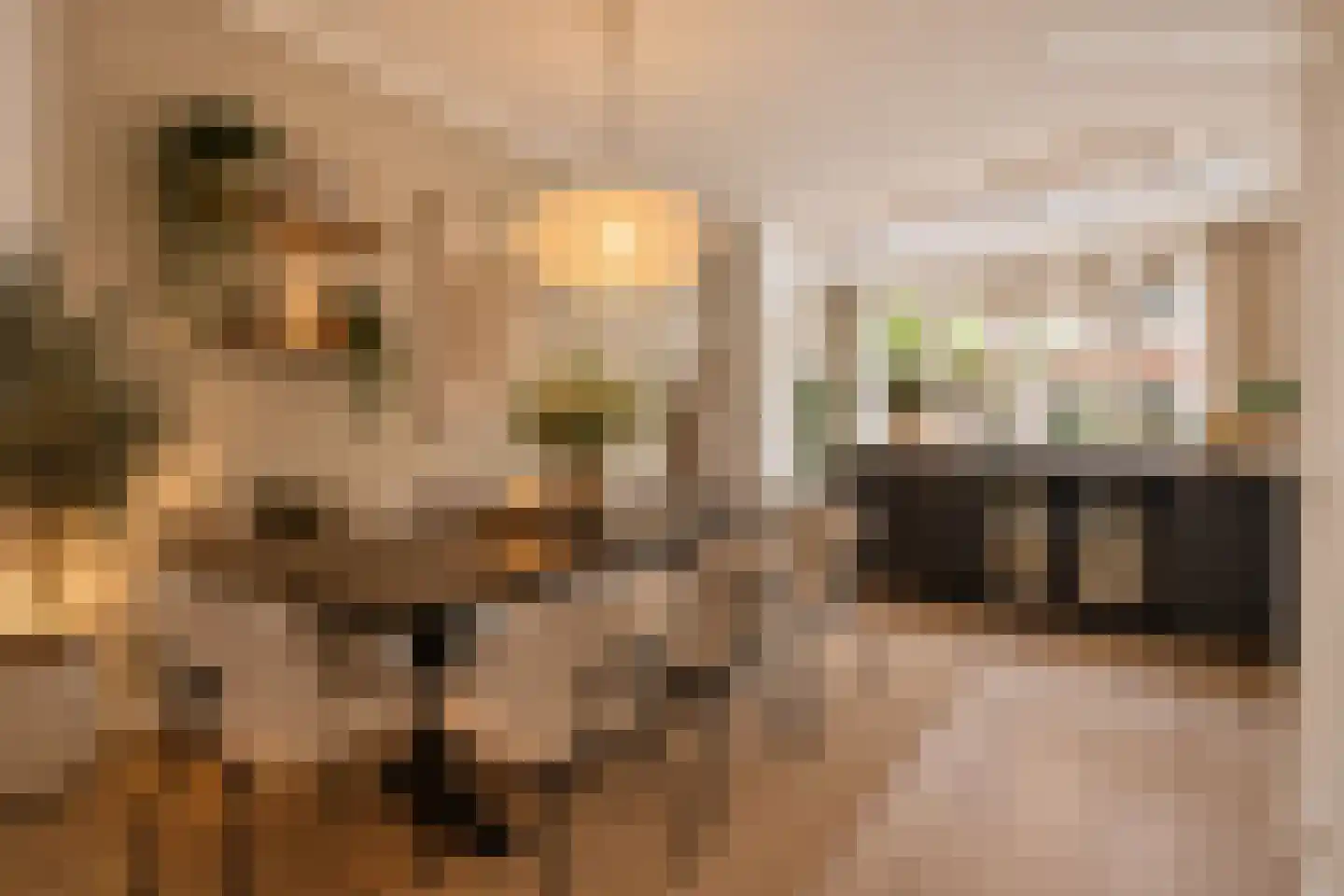 J A Alberdingk Thijmstraat 53 Schiedam thumbnail 13