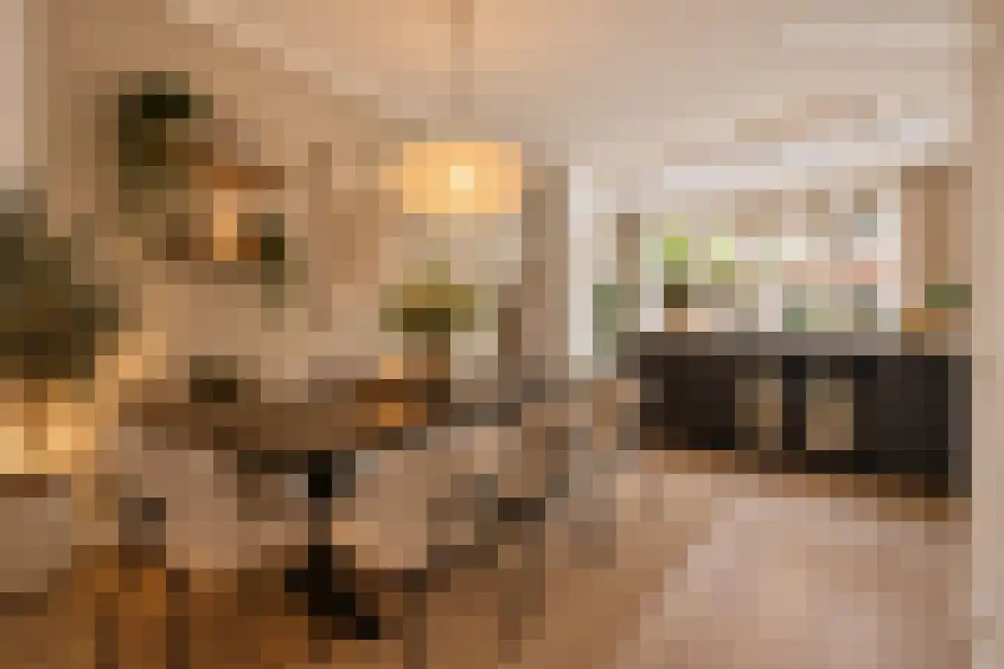 J A Alberdingk Thijmstraat 53 Schiedam thumbnail 14