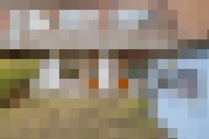 J A Alberdingk Thijmstraat 65 A Schiedam thumbnail 22