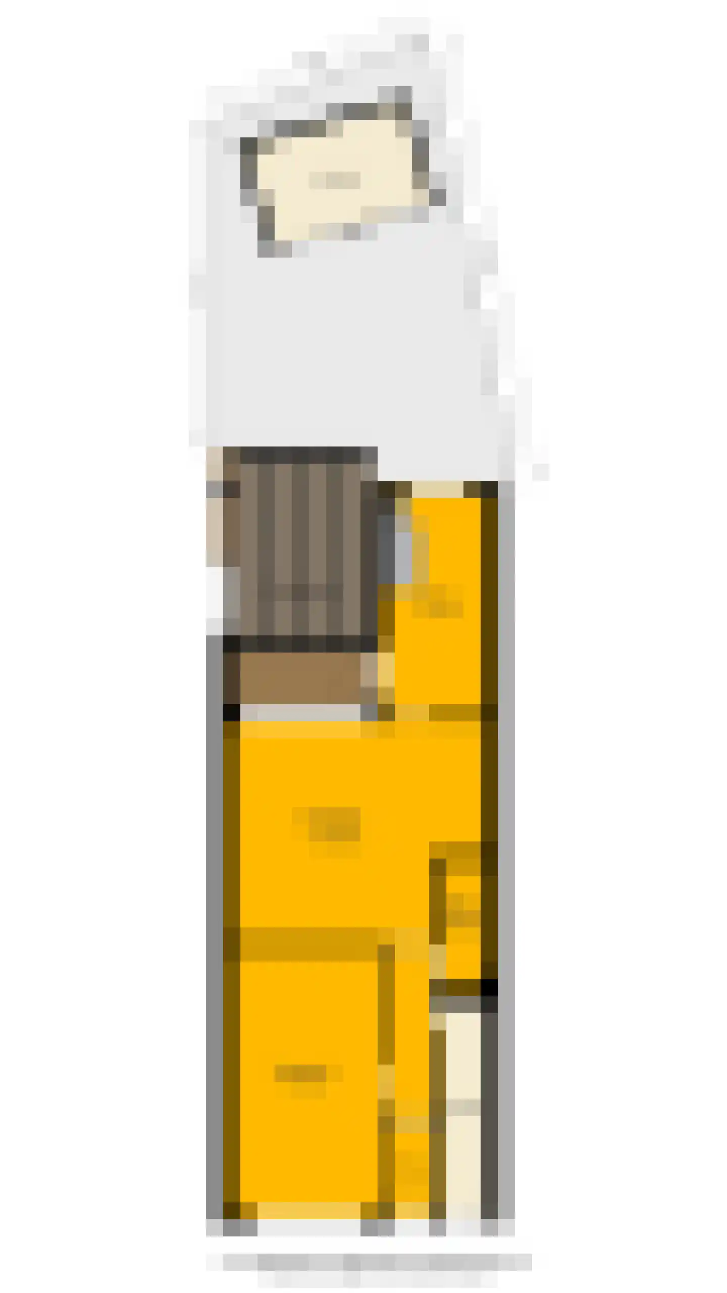 J A Alberdingk Thijmstraat 66 B Schiedam thumbnail 17