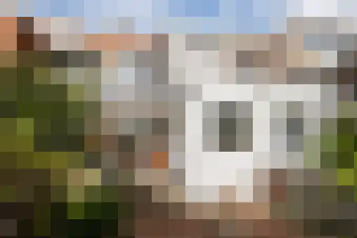 J A Alberdingk Thijmstraat 68 Schiedam thumbnail 12