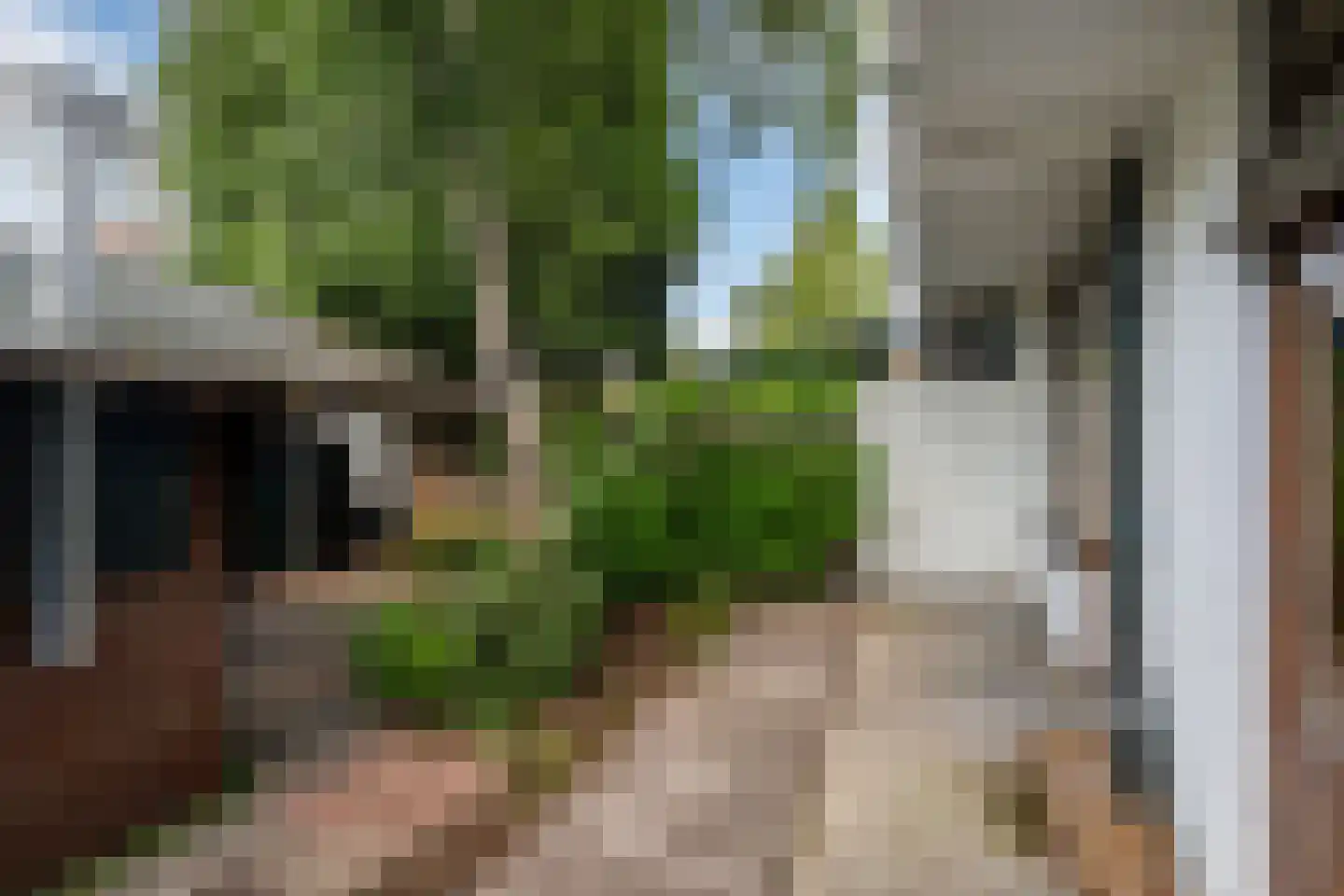 J A Alberdingk Thijmstraat 71 B Schiedam thumbnail 10