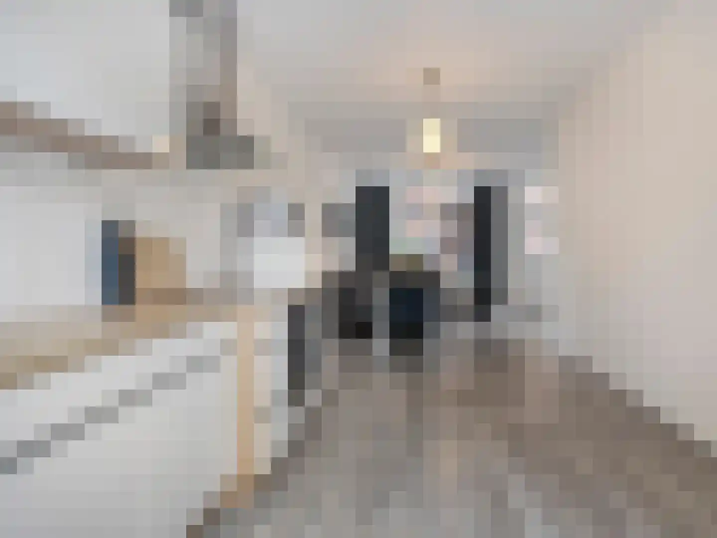 J A Alberdingk Thijmstraat 82 Schiedam thumbnail 11