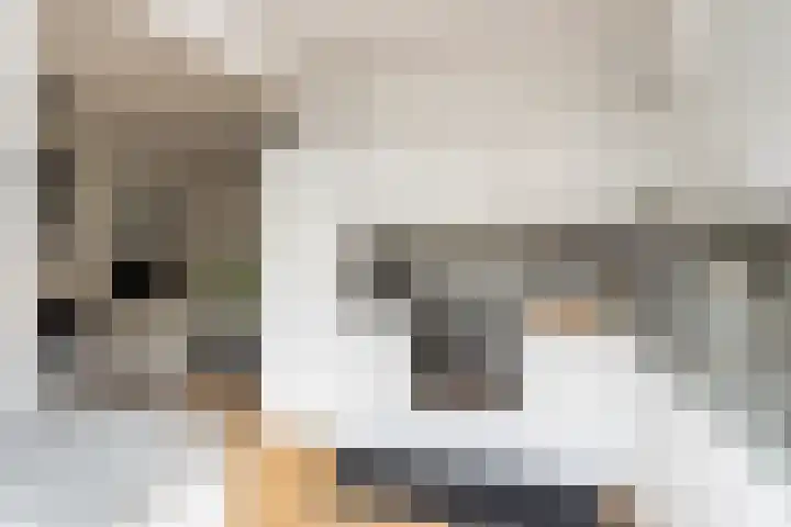 J A Beyerinkstraat 105 Nieuwerkerk aan den IJssel thumbnail 6