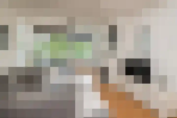J A Beyerinkstraat 105 Nieuwerkerk aan den IJssel thumbnail 8