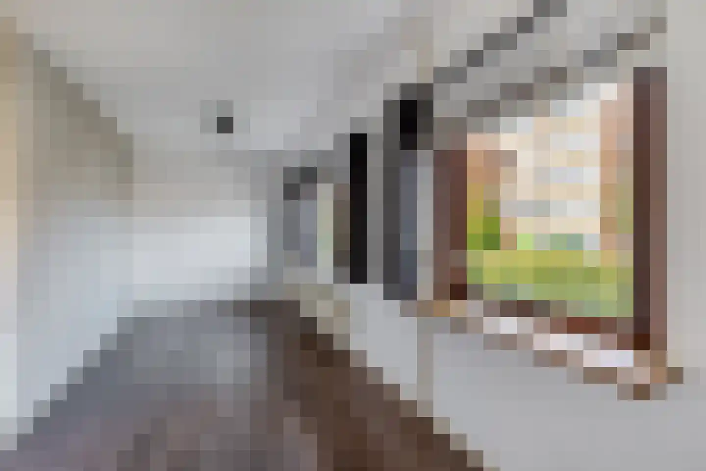 J A Beyerinkstraat 52 Nieuwerkerk aan den IJssel thumbnail 13