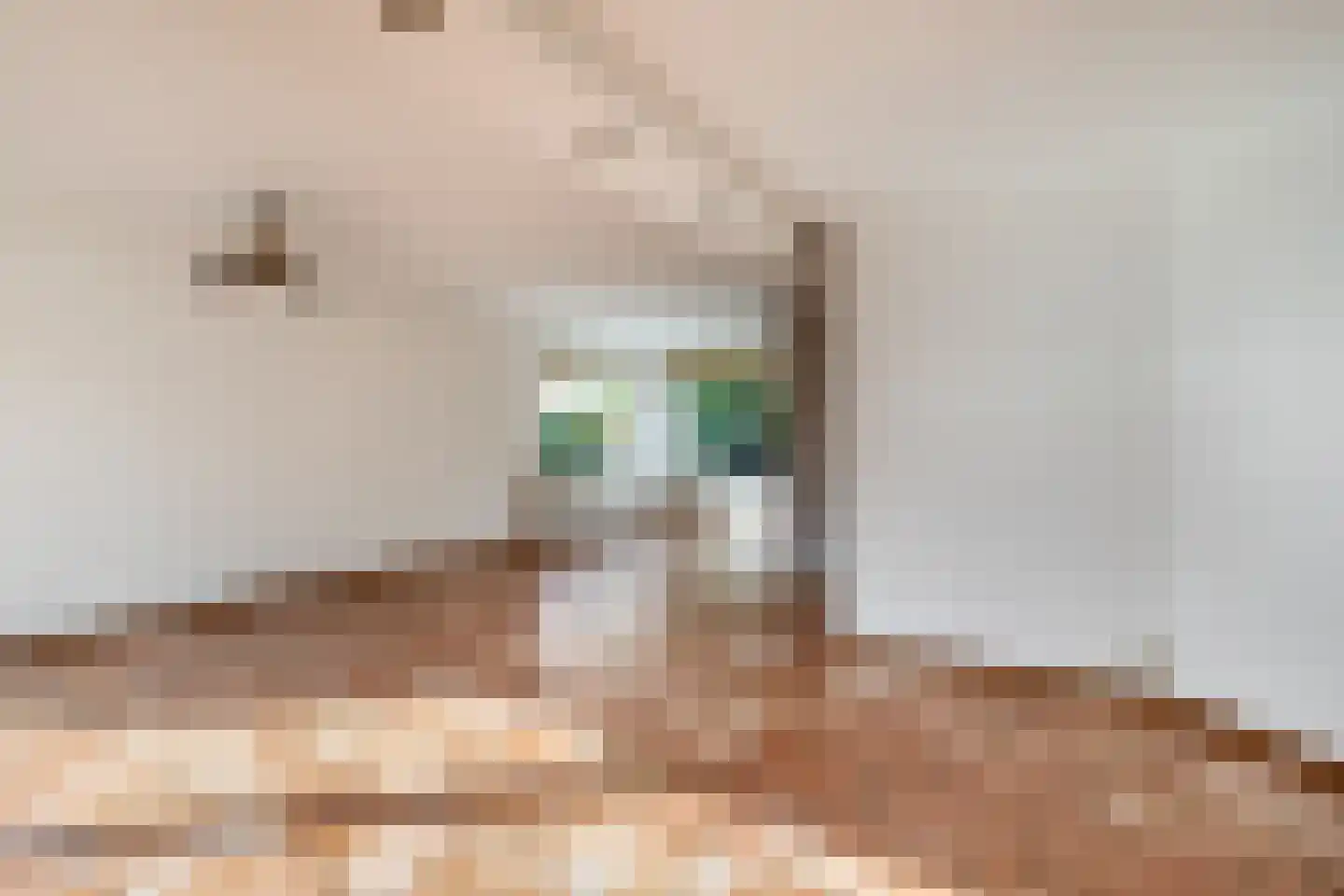 J A Beyerinkstraat 52 Nieuwerkerk aan den IJssel thumbnail 6