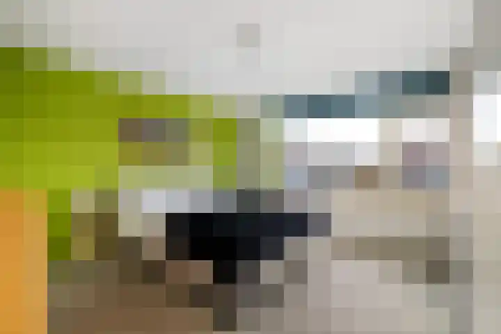 J A Beyerinkstraat 81 Nieuwerkerk aan den IJssel thumbnail 12