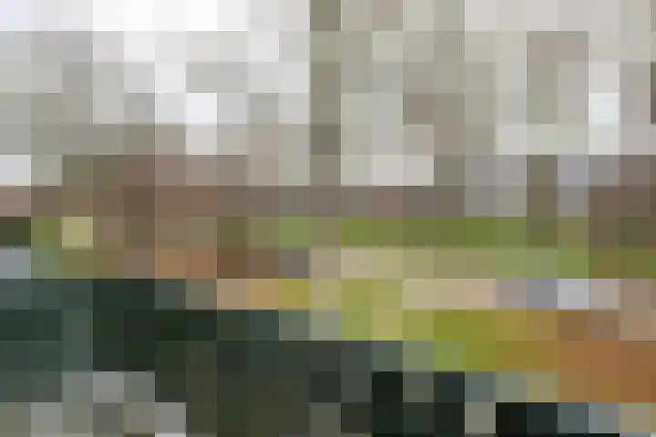 J A Beyerinkstraat 81 Nieuwerkerk aan den IJssel thumbnail 16