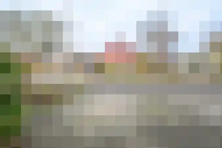 J.A. de Boerstraat 18 Schagerbrug thumbnail 35