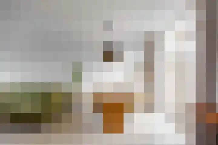 J.A. de Bree-Meijerstr 18 Groningen thumbnail 12