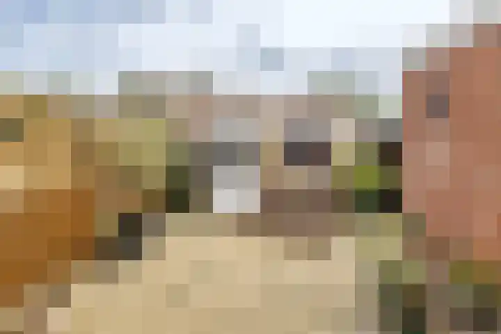 J.A. de Bree-Meijerstr 18 Groningen thumbnail 16