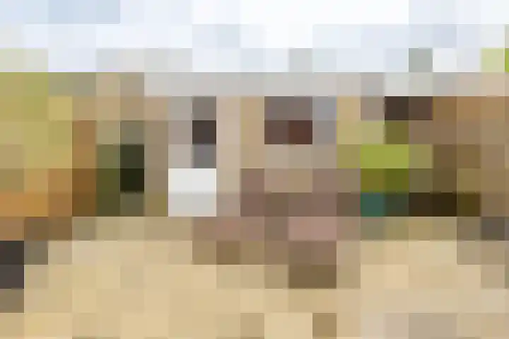 J.A. de Bree-Meijerstr 18 Groningen thumbnail 4